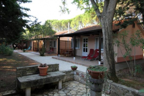Bungalow comfort 100 m from the Beach